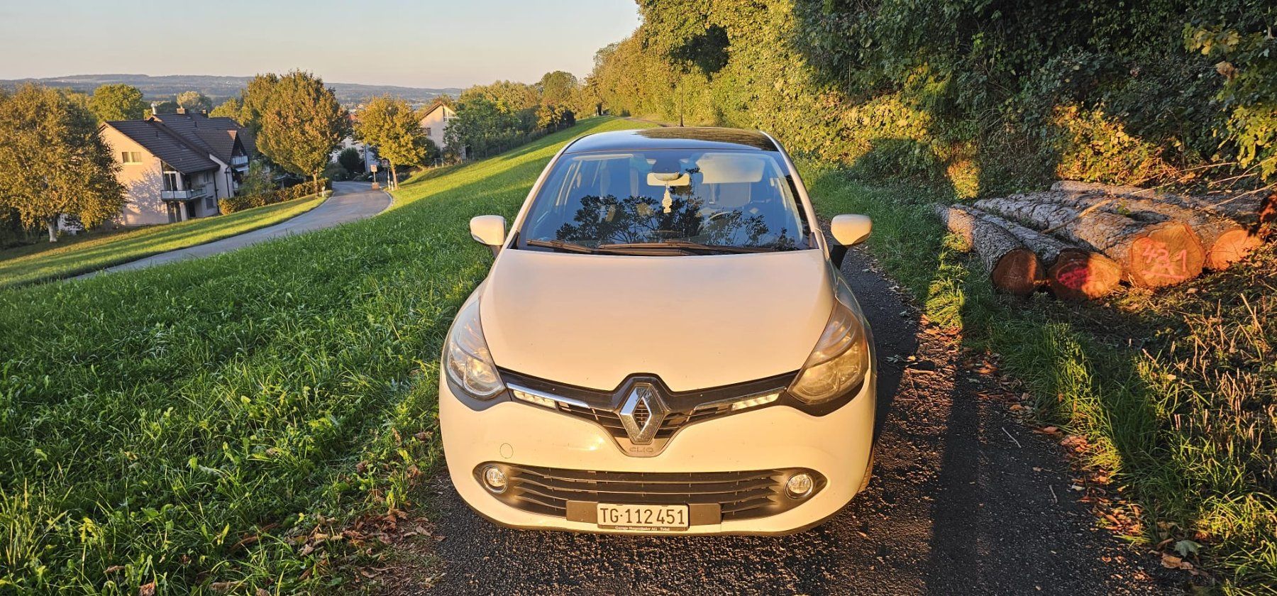 Renault Automobili: Renault Clio 1.5 dci – Usato da Frauenfeld venduto da deno_4161