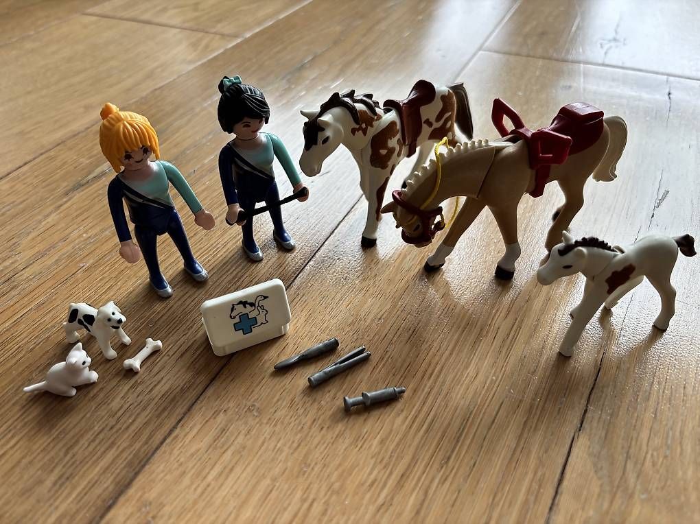 Playmobil Giocattoli: Playmobil Voltigier-Set – Usato da Jegenstorf venduto da momonika