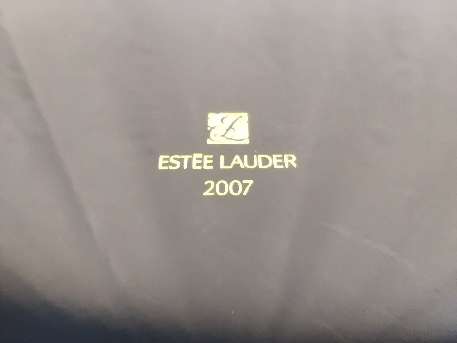 Vetrine: ESTÉE LAUDER 2007 Vitrine – Usato da Schübelbach venduto da Restwert_Schubelbach 7