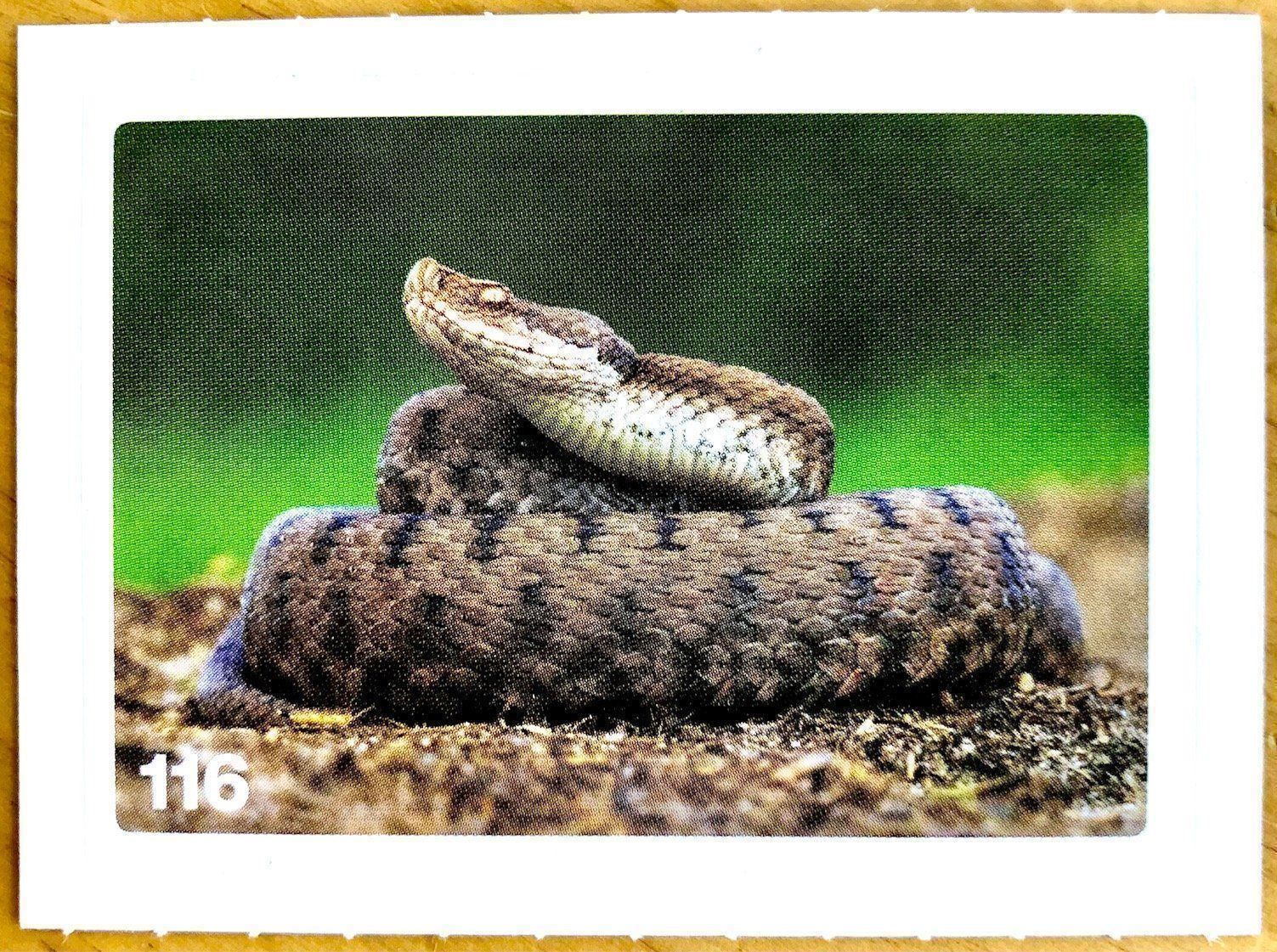 Migros Sammelbilder & Trading cards: Migros Nature Detectives - Bild Nr. 116 – Neu (gemäss Beschreibung) aus Oberrieden von Zimmerberg10