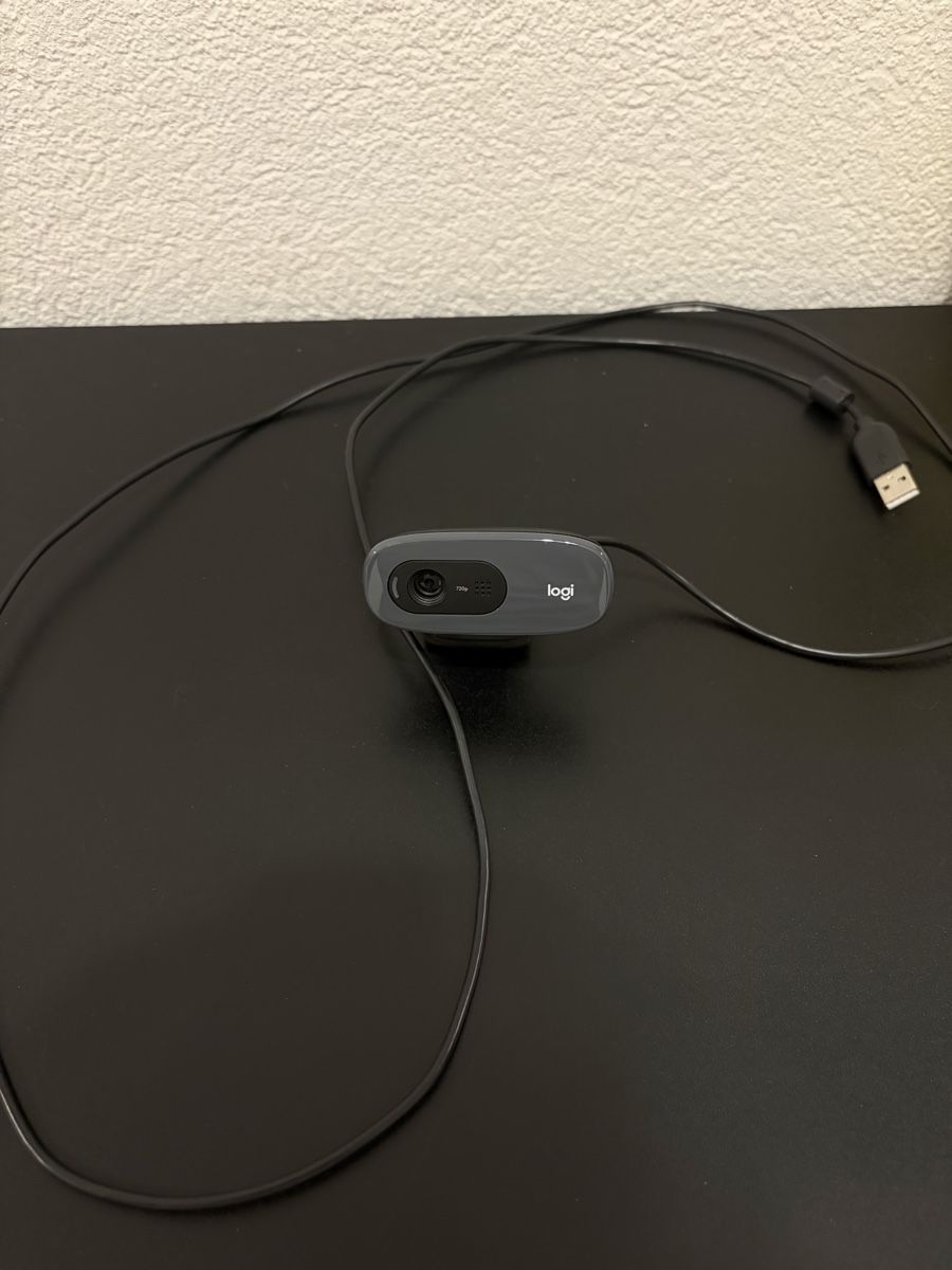 Logitech Webcam: Logitech C270 Facecam – Nuovo (secondo la descrizione) da Gümligen venduto da NicolasScheidegger