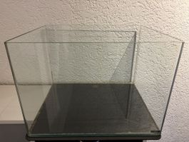 Aquarium Glasbecken  Dennerle Scaper's Tank Panorama  50l