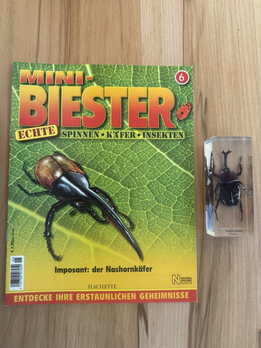 Riviste & Magazine: Mini Biester Heft und Block Nr. 6 – Usato da Grenchen venduto da Bastet007