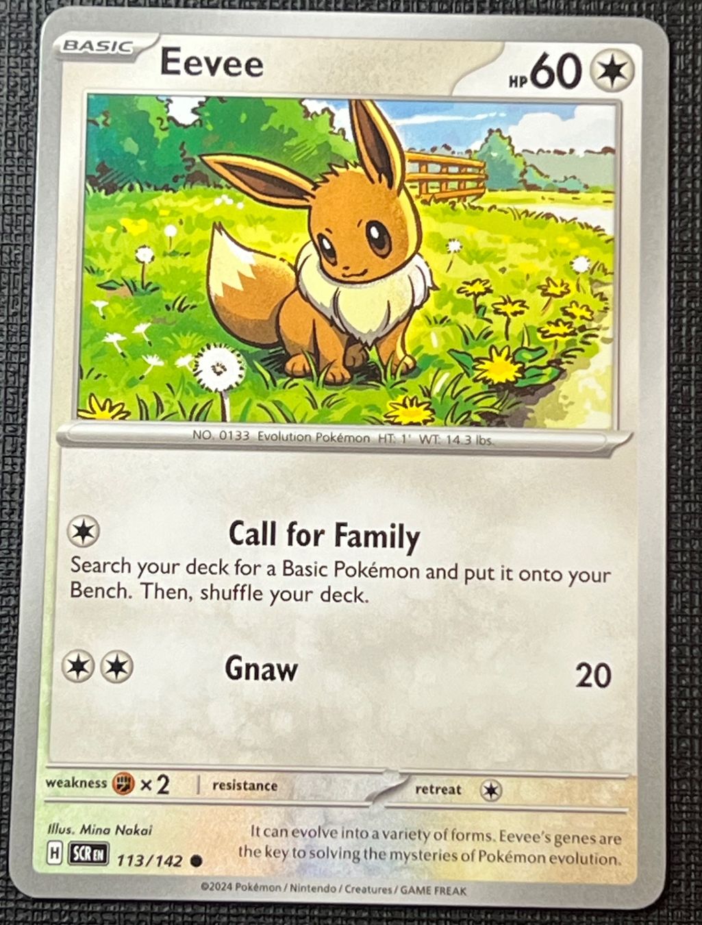 Pokémon Carte collezionabili: Pokemon Eevee 113/142 SCR EN – Usato da Appenzell venduto da RMBricks