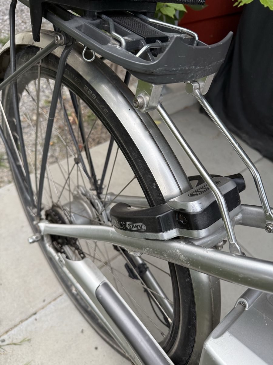 Flyer Biciclette: E-Bike Flyer  – Usato da Langenthal venduto da Nina_Leonie 7