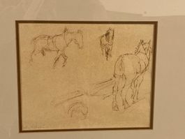 IRENE ZURKINDEN 1936 Originale Zeichnung Pferde