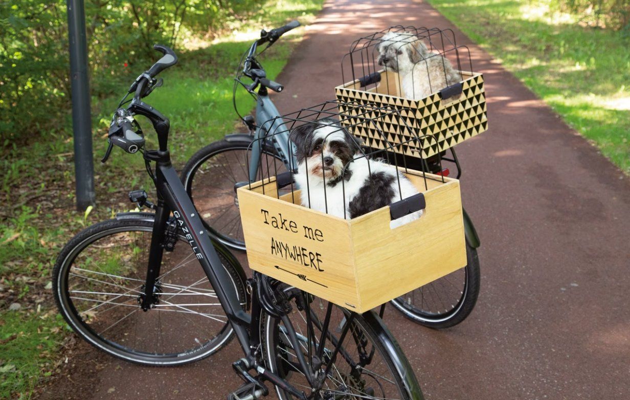 Liege- & Schlafplätze: Fahrradkorb, Hundekorb für Fahrrad Beeztees – Gebraucht aus Zürich von Yosukey 1