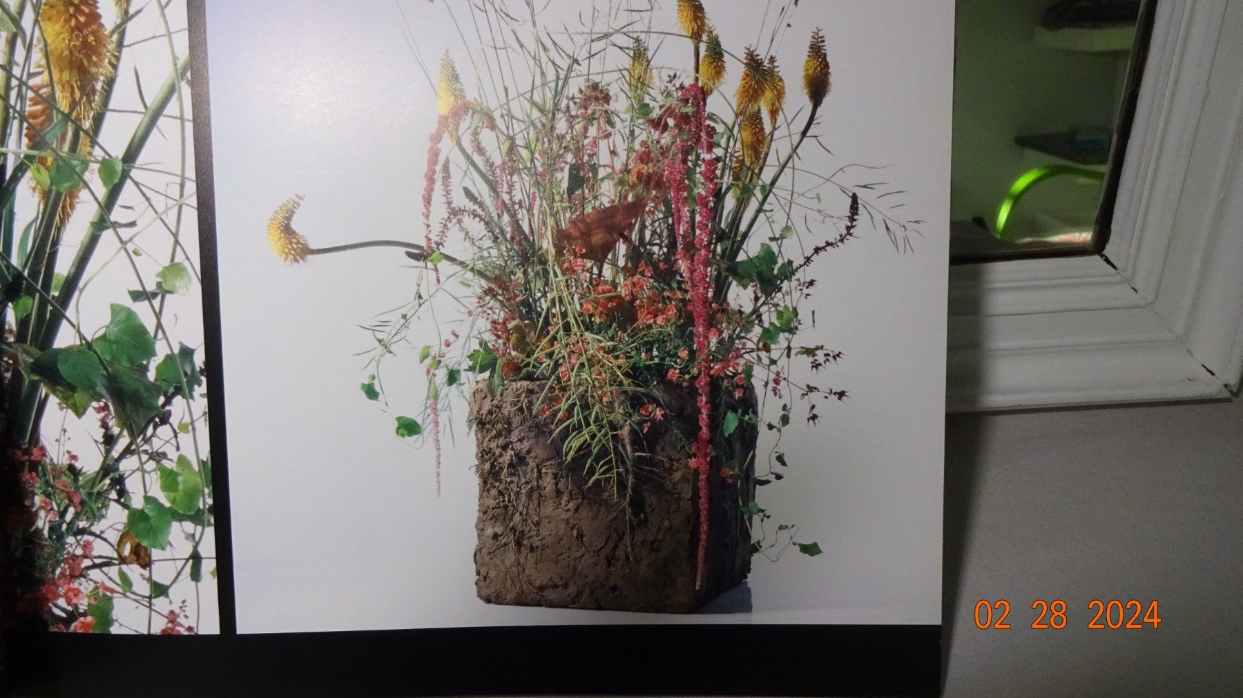 Bücher: Art Floral Klaus Wagener – Gebraucht aus Steffisburg von Narzisse 4