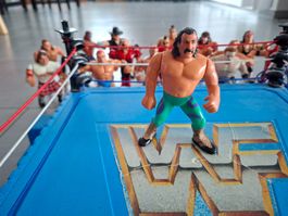 WWF Hasbro Jake "The Snake" Roberts Series 1 Vintage Figure