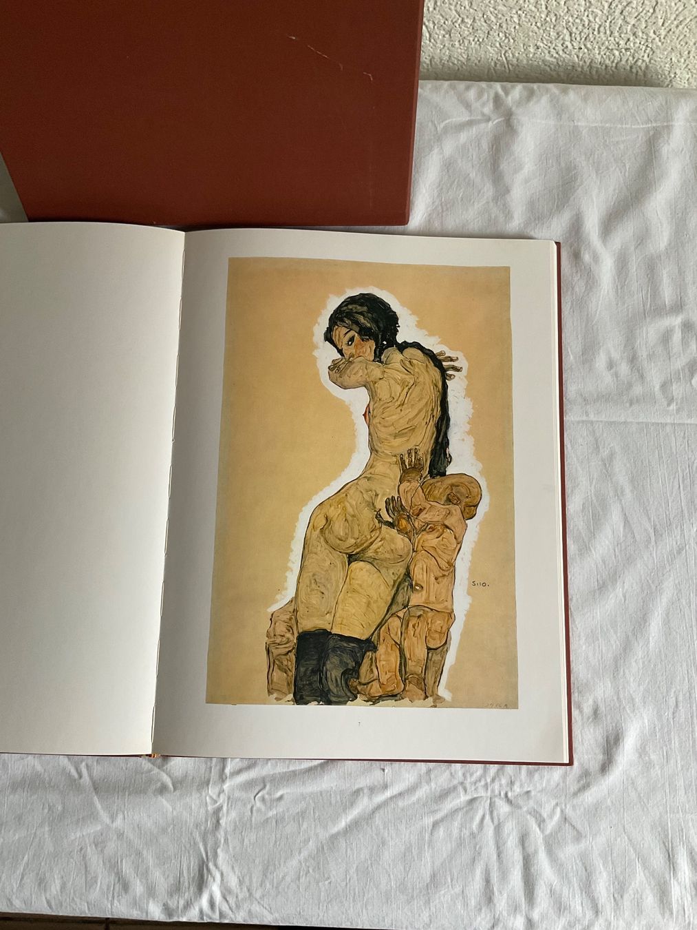 Libri: Egon Schiele - Erotische Zeichnungen - Kunstbuch – Usato da Bern venduto da jas_8tz2 5