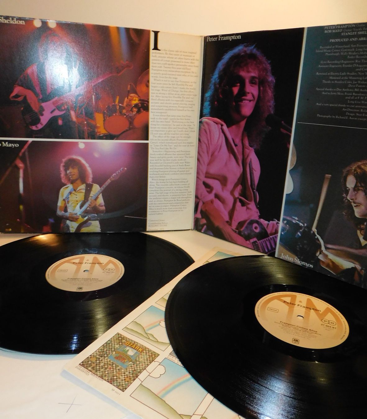 Dischi in vinile: LP - 1976 - Peter Frampton Comes Alive - LP Schallplatte – Usato da Sursee venduto da 76