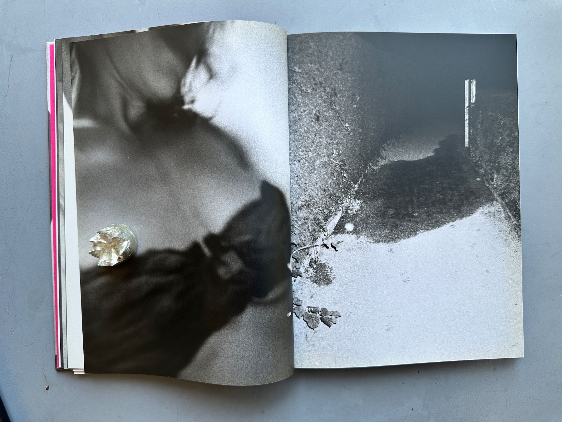 Libri: Marianne Mueller: The Proper Ornaments. – Usato da Zürich venduto da allp 5
