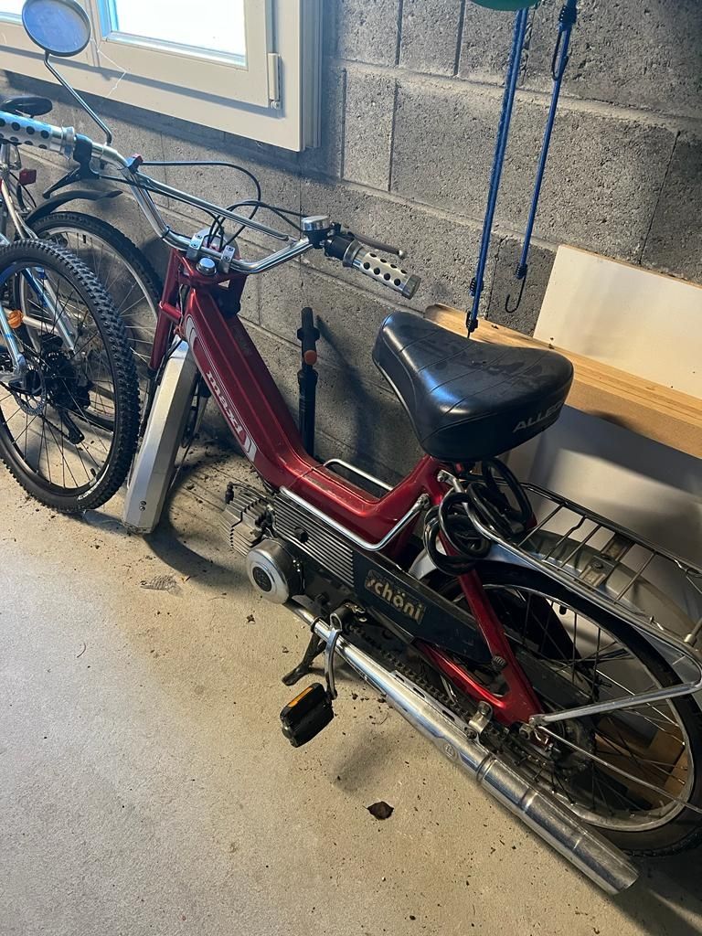 Strada: Velomoteur Puch Maxi – Usato da Domdidier venduto da wderossi 2