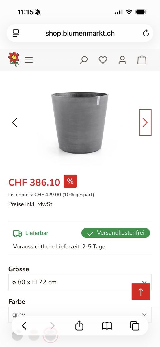 Piante & sementi: Oleander mit rosa Blüten inkl. Topf  – Usato da Zürich venduto da seb_8rsb 7