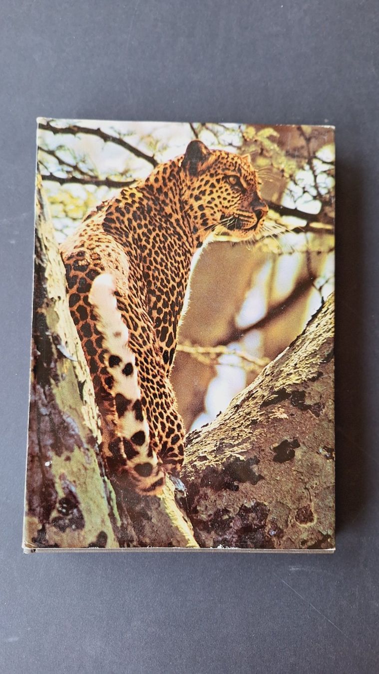 Libri: Zoo Ostafrika,  Silva Buch – Usato da Zürich venduto da t24_de