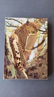 Zoo Ostafrika,  Silva Buch