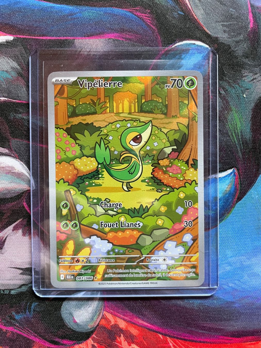 Pokémon Carte collezionabili: vipélierre 087/086 Pokemon FR – Nuovo (secondo la descrizione) da Baar (Nendaz) venduto da jac_fs6l