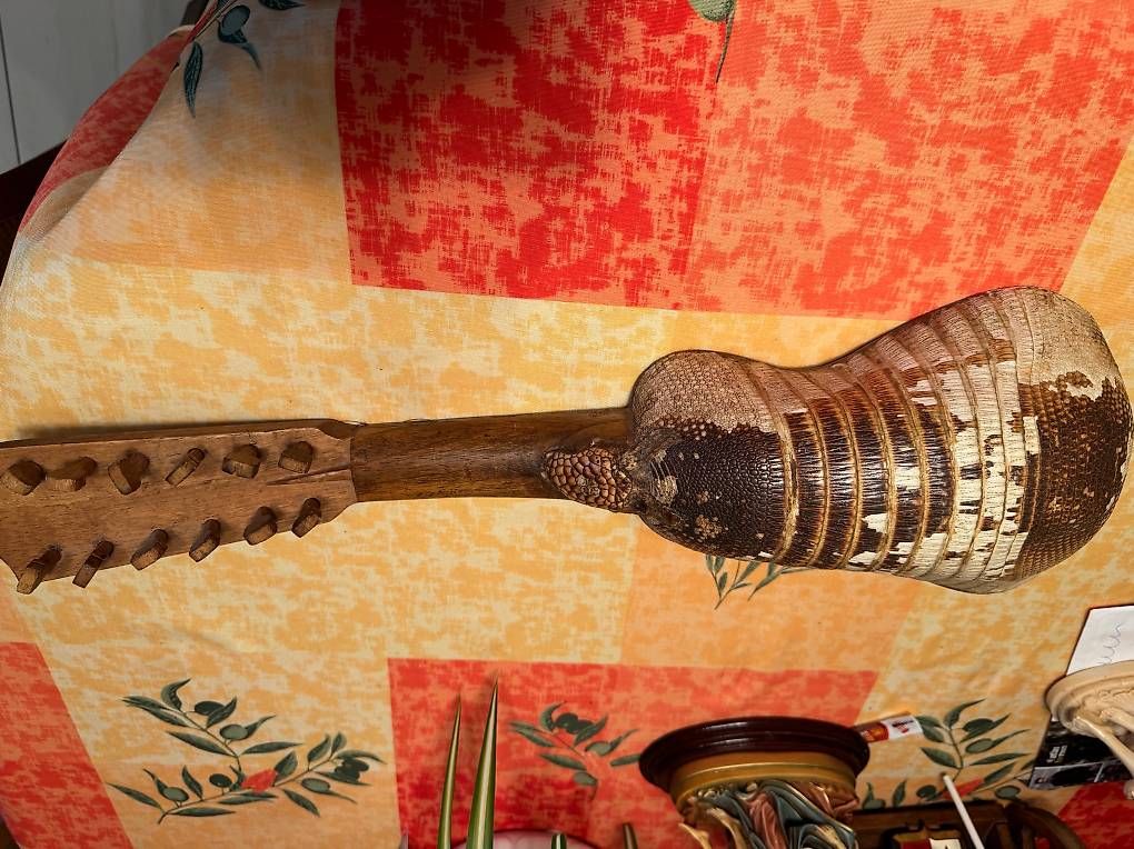 Strumenti musicali: musik instrumente – Usato da Bassecourt venduto da Fisico6