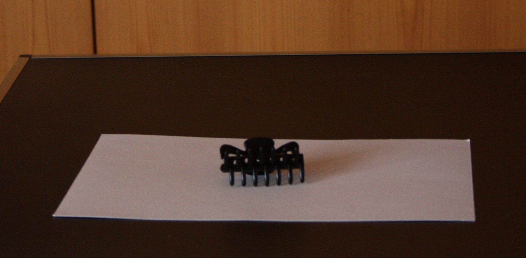 Accessori per capelli: Haarklammer schwarz – Usato da Flüelen venduto da Diversicum-Shop 2