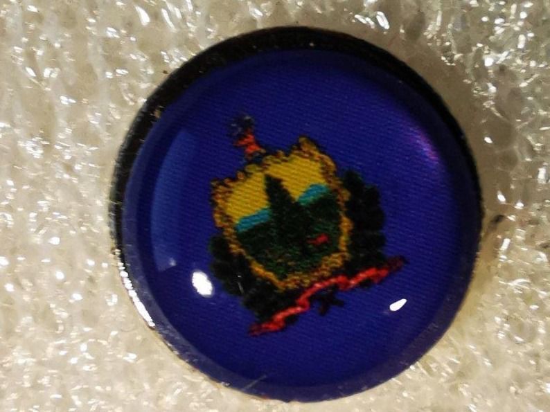 Placchette & Badge: Ansteckpin 2: US Bundesstaat – Usato da Oppligen venduto da Pin-Fall-Shop