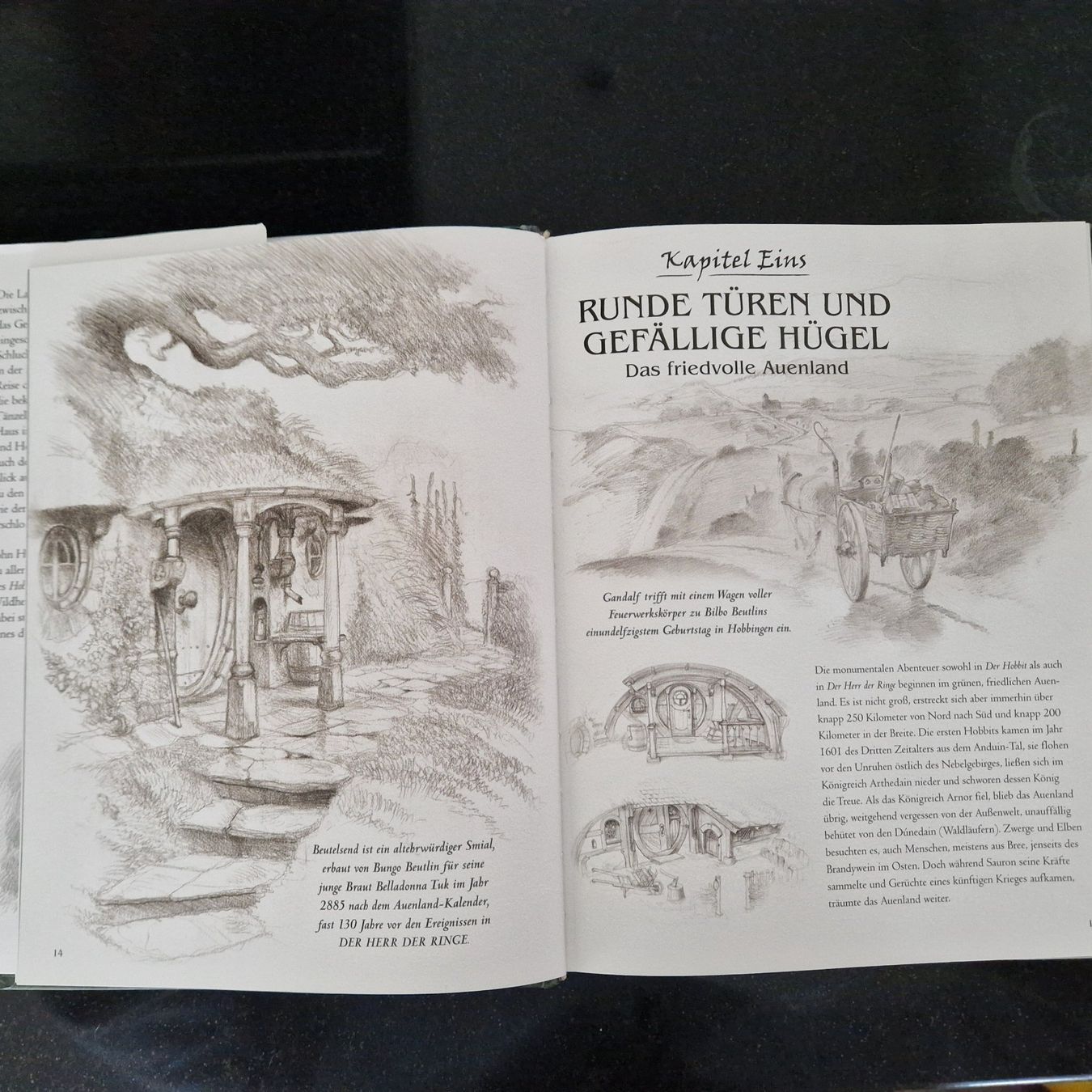 Libri: Reise durch Mittelerde, illustriert von John Howe – Nuovo (secondo la descrizione) da Gränichen venduto da sunchi07 1