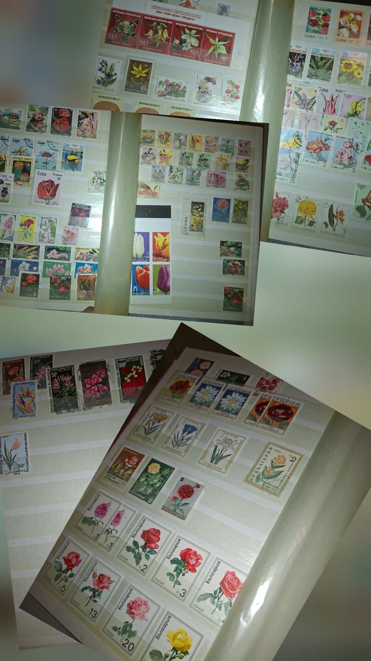 Alle Briefmarken: Sammlung Briefmarken / Bmumenmotive – Gebraucht aus Balgach von SIMEON27 2