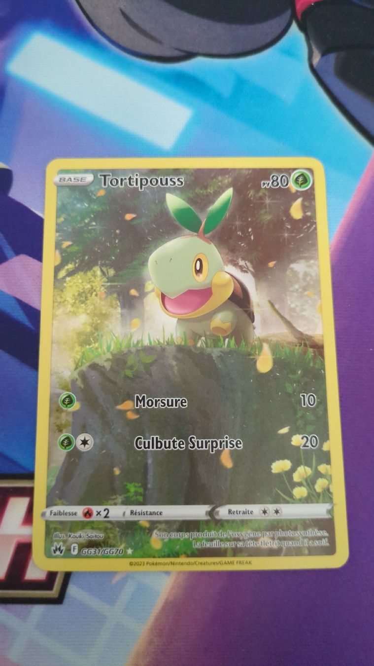 Pokémon Carte collezionabili: Carte Tortipouss - Zenith Supreme – Usato da Genève venduto da ims1