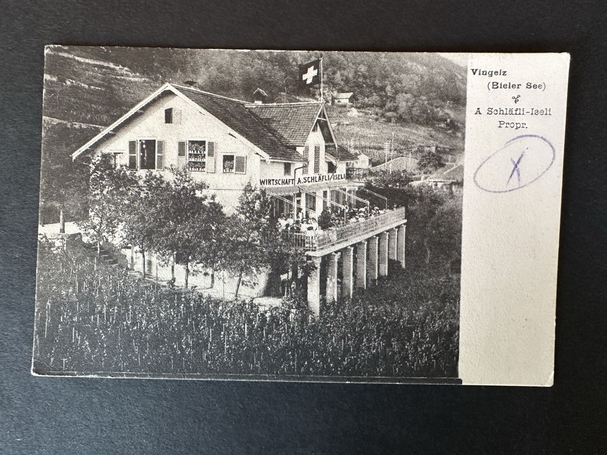 Cartoline postali: Schweiz - AK Vignelz Bielersee 1917 – Usato da Schmitten / FR venduto da Samsara169