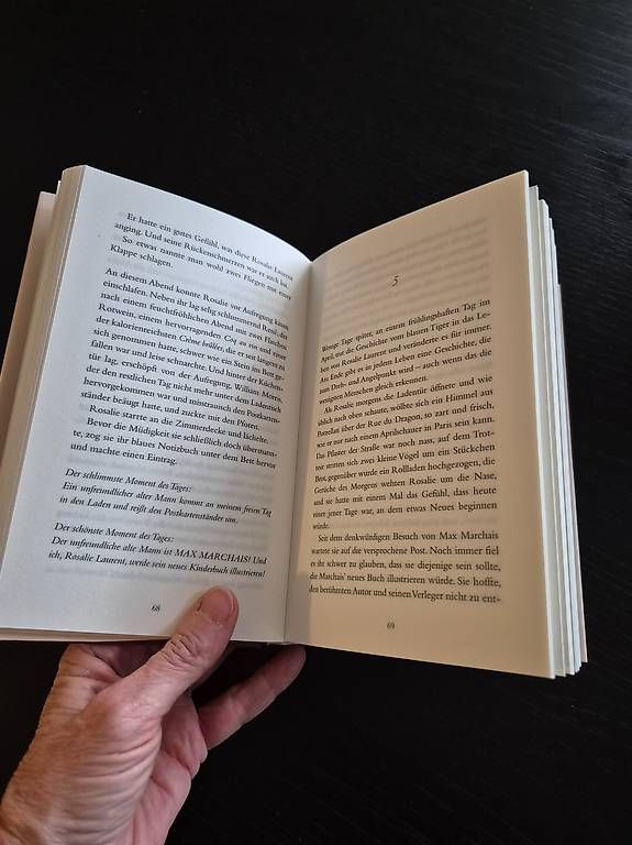 Libri: Paris ist immer eine gute Idee Roman Nicolas Barreau – Usato da Allschwil venduto da Sandyheart 2