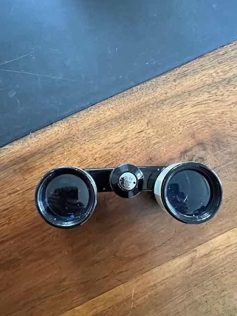 Binocoli: Opernglas mit Perlmutt von Yashica – Usato da Grüningen venduto da magica12 2