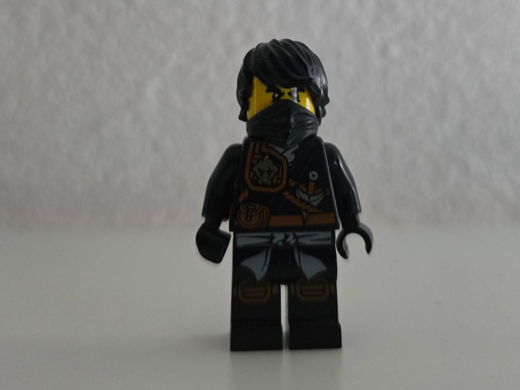 Lego Giocattoli: Lego Ninjago Cole Skybound njo0202 – Usato da Suhr venduto da fuva23