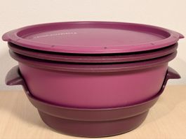 Tupperware / Micro Gourmet