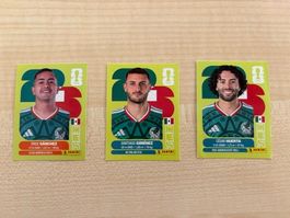 FIFA WM 2026 Panini MEX 14 / 16  / 20