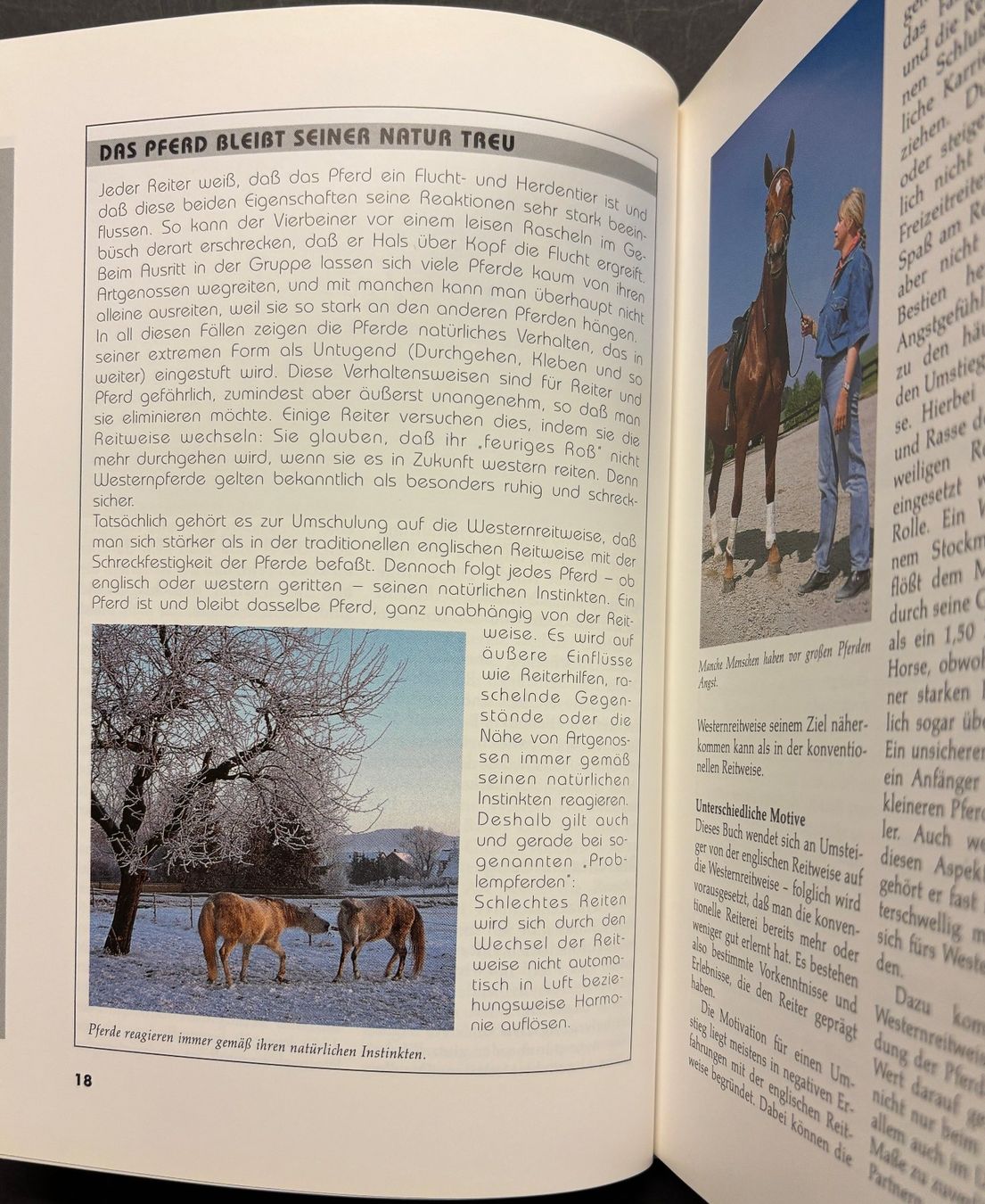Libri: Western-Training für Umsteiger – Nuovo (secondo la descrizione) da Sarnen venduto da Livres 6