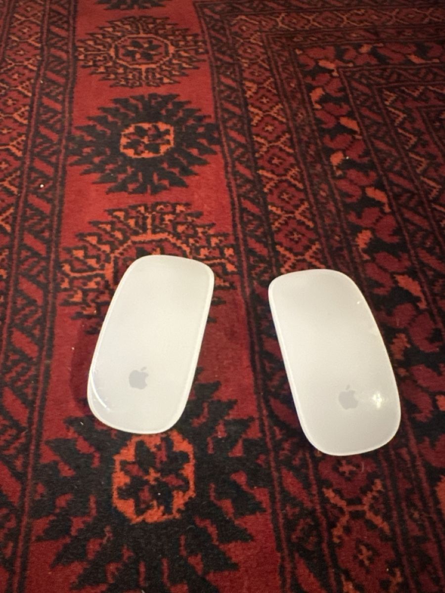 Apple Mouse: 2 Apple Magic Mouse kabellos weiss bluetooth batterie – Usato da Basel venduto da donald_duck_313