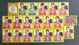 Korea Republic (KOR) Komplett! - Panini FIFA WM 2026