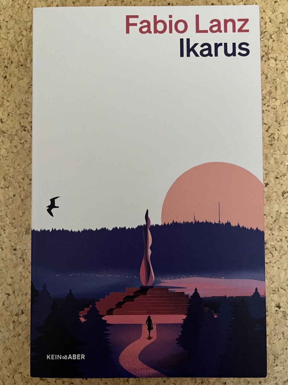 Libri: Taschenbuch "Ikarus", Fabio Lanz – Usato da Grosswangen venduto da Vita500