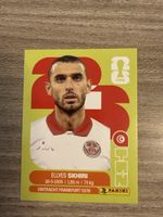 PANINI Fifa TUN 9
