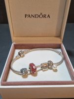Pandora Armband mit Charms Silber guter Zustand