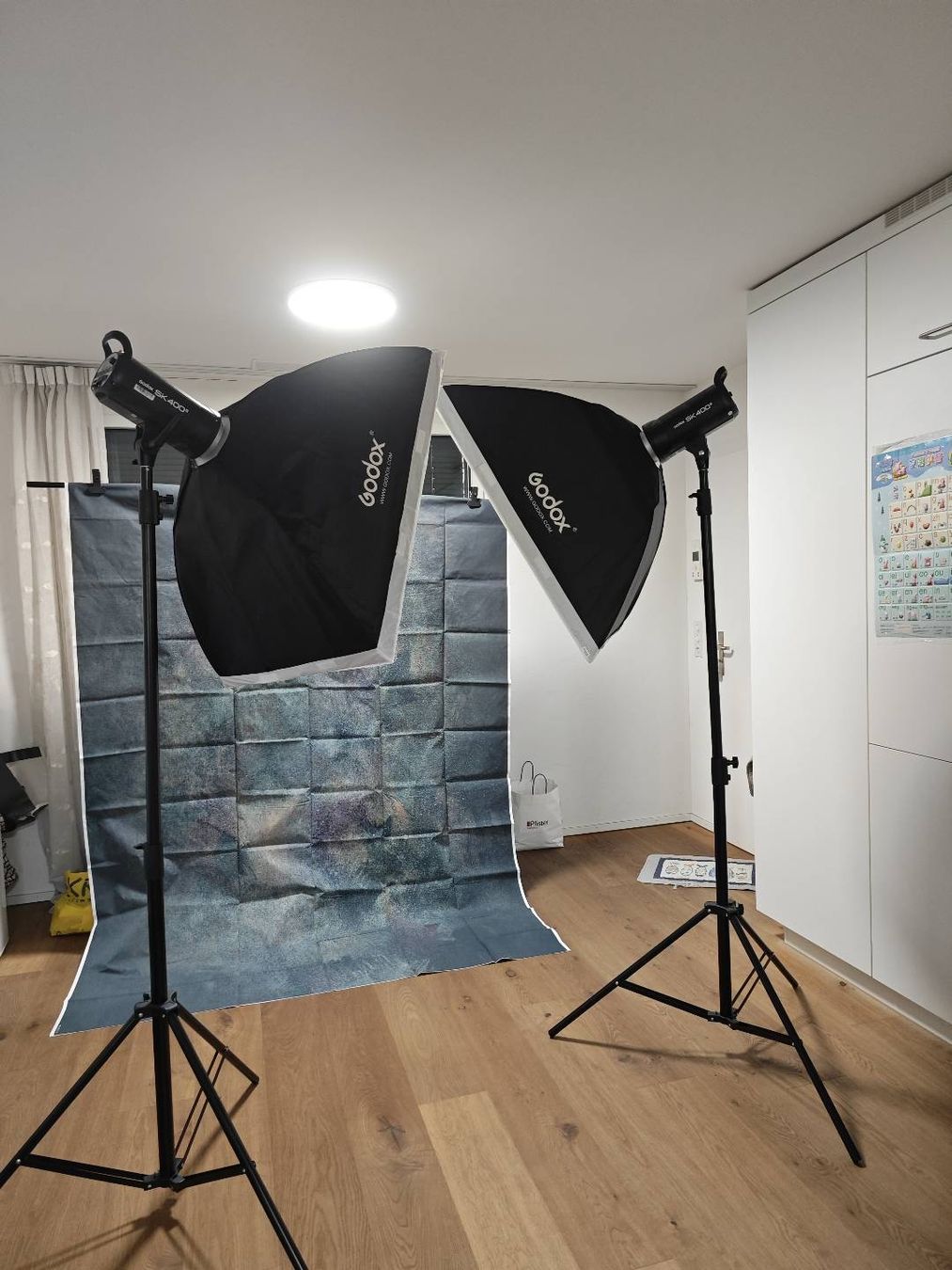 Laboratorio & Camera oscura: Heimfotoausrüstung, Studio Lighting Kit - 2 Softboxes & Stan – Usato da Dübendorf venduto da Jianbo_CN_CH_IT 4