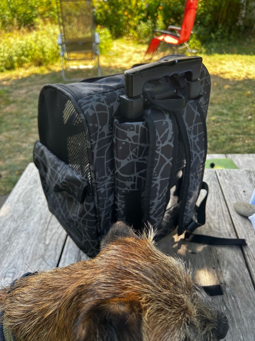Sacs à dos: Karlie Hunde Rucksack/Trolley – D'occasion à Henggart par Kipvelo 5