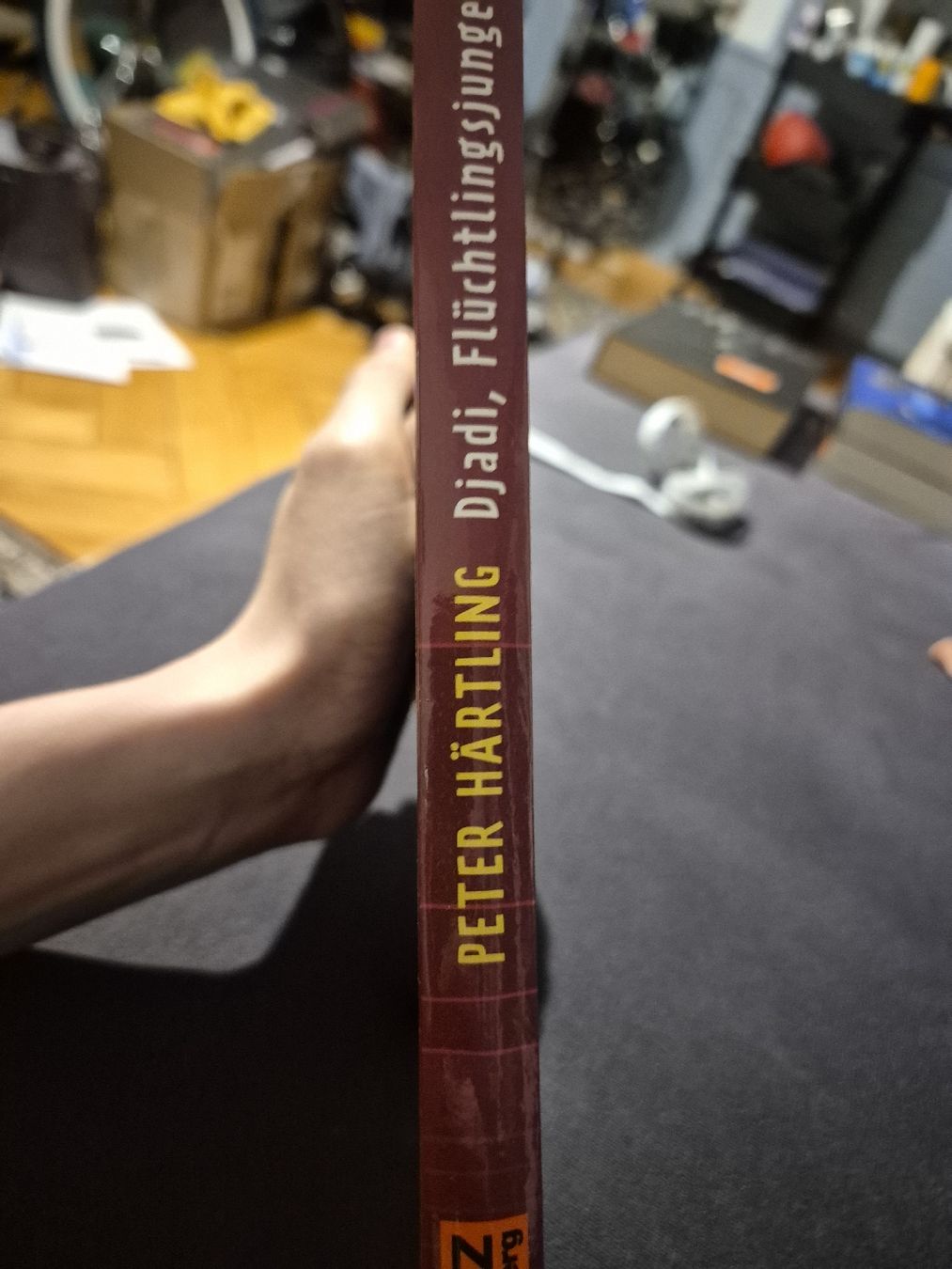 Libri: Djadi, Fluechtlingsjunge - Peter Haertling Jugendbuch – Usato da Nürensdorf venduto da luc_9ksf 1