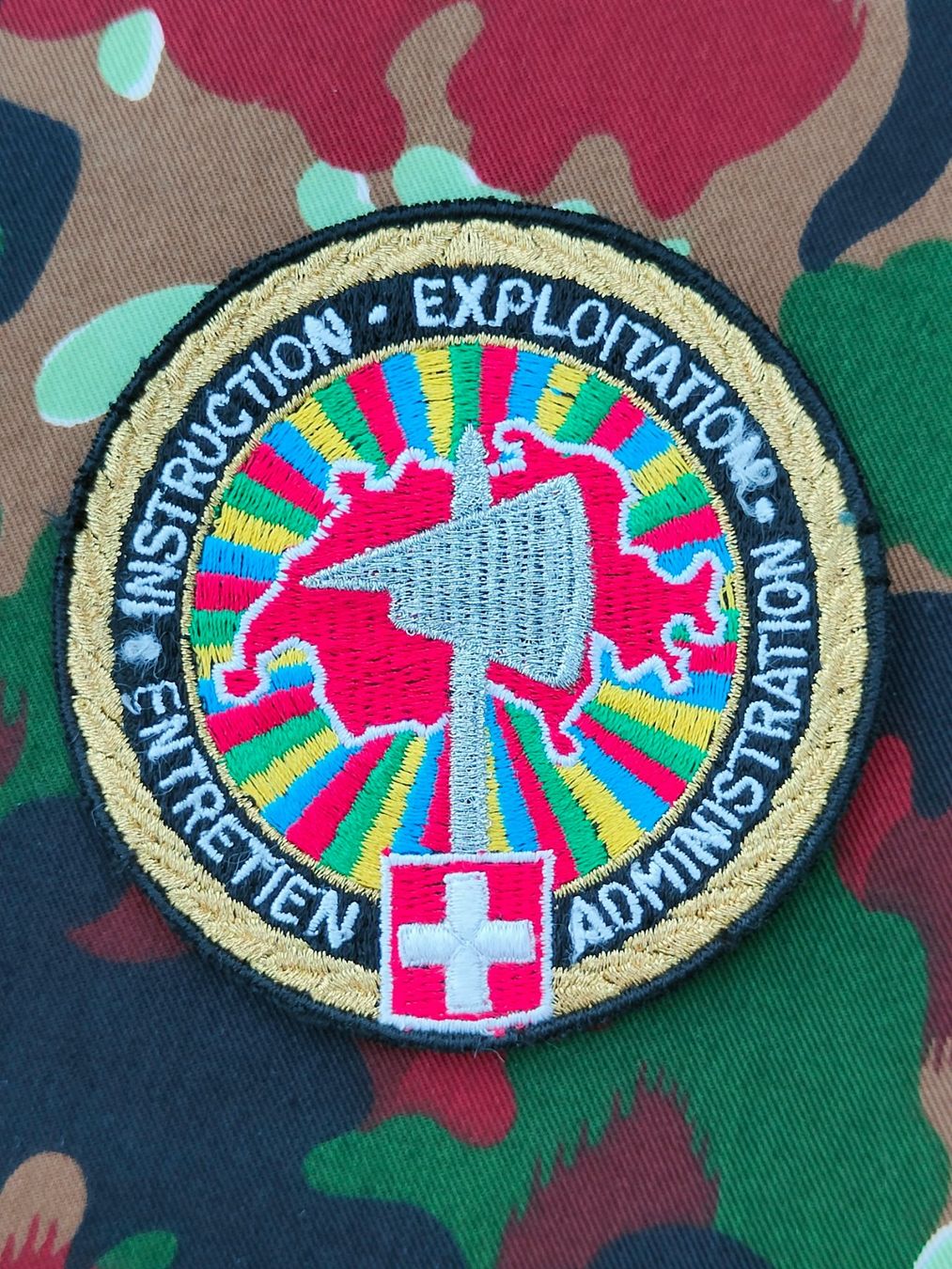 Schweizer Armee Plaketten & Abzeichen: Verbandsabzeichen INSTRUCTION – Gebraucht aus Bauma von SwissMilitaria