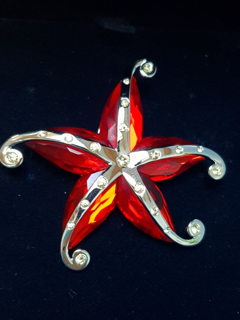 Swarovski Spille & Fermagli: Swarovski Brosche - Rare(Original) – Nuovo e nell'imballaggio originale da Lengnau BE venduto da Mango888 4