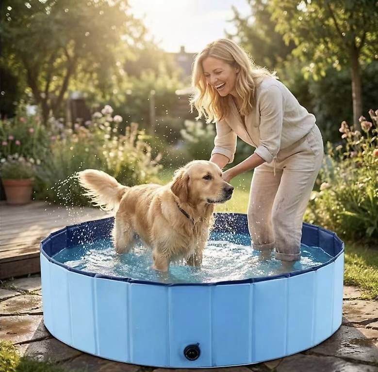 Piscine: Piscina per cani 120x30cm – Usato da Sonvico venduto da illo70