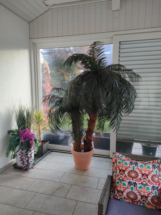 Palme Kunstpalme über 2m Kaufen auf Ricardo