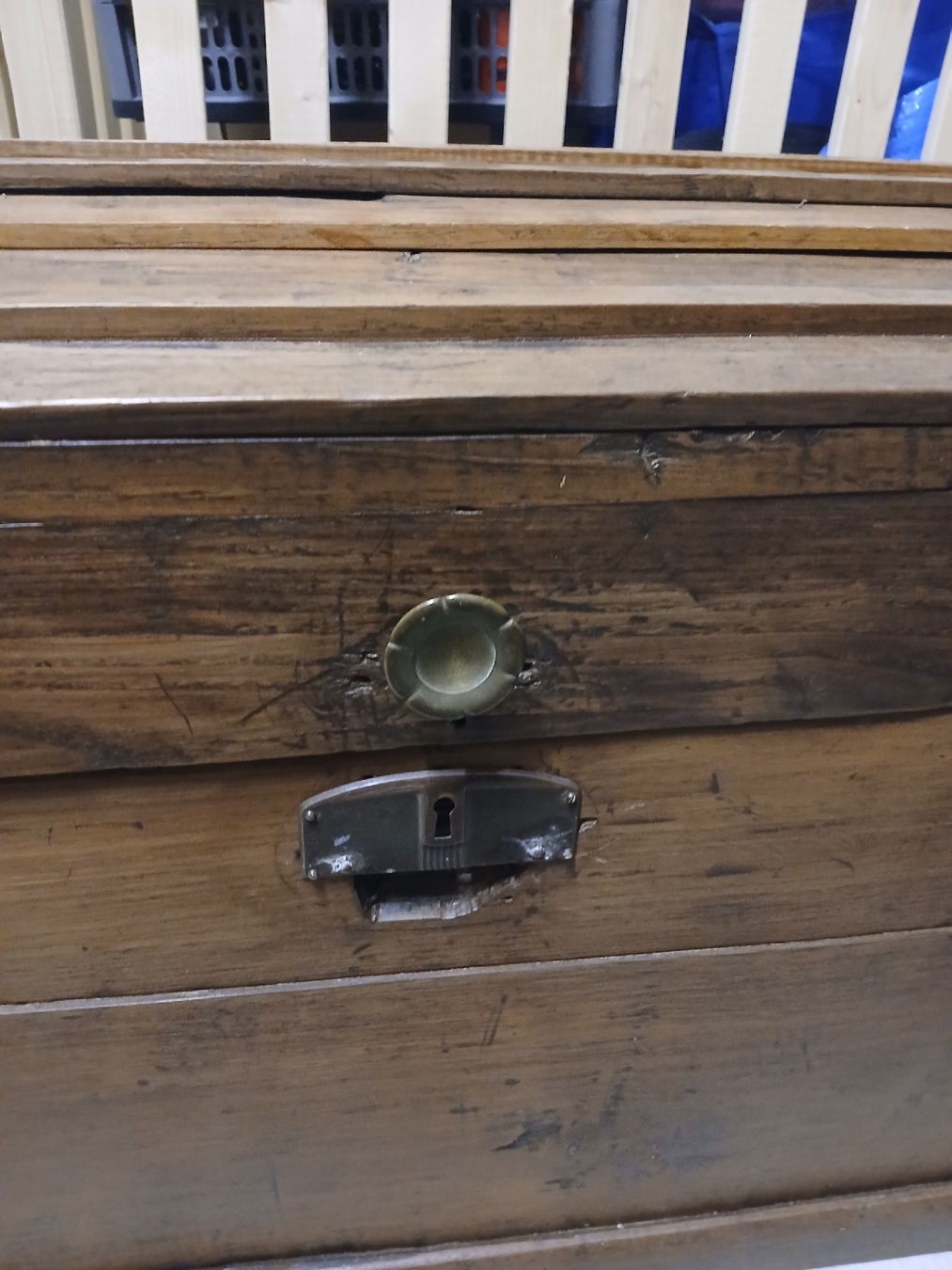 Coffres: Baule Legnodi design – Défectueux à Reinach BL par nin_h6hf 2