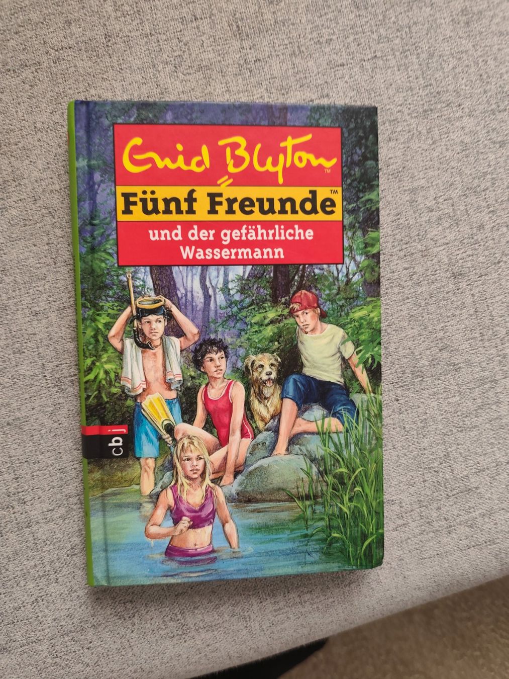 Libri: Fünf Freude Buch – Nuovo (secondo la descrizione) da Oberägeri venduto da ang_22g5