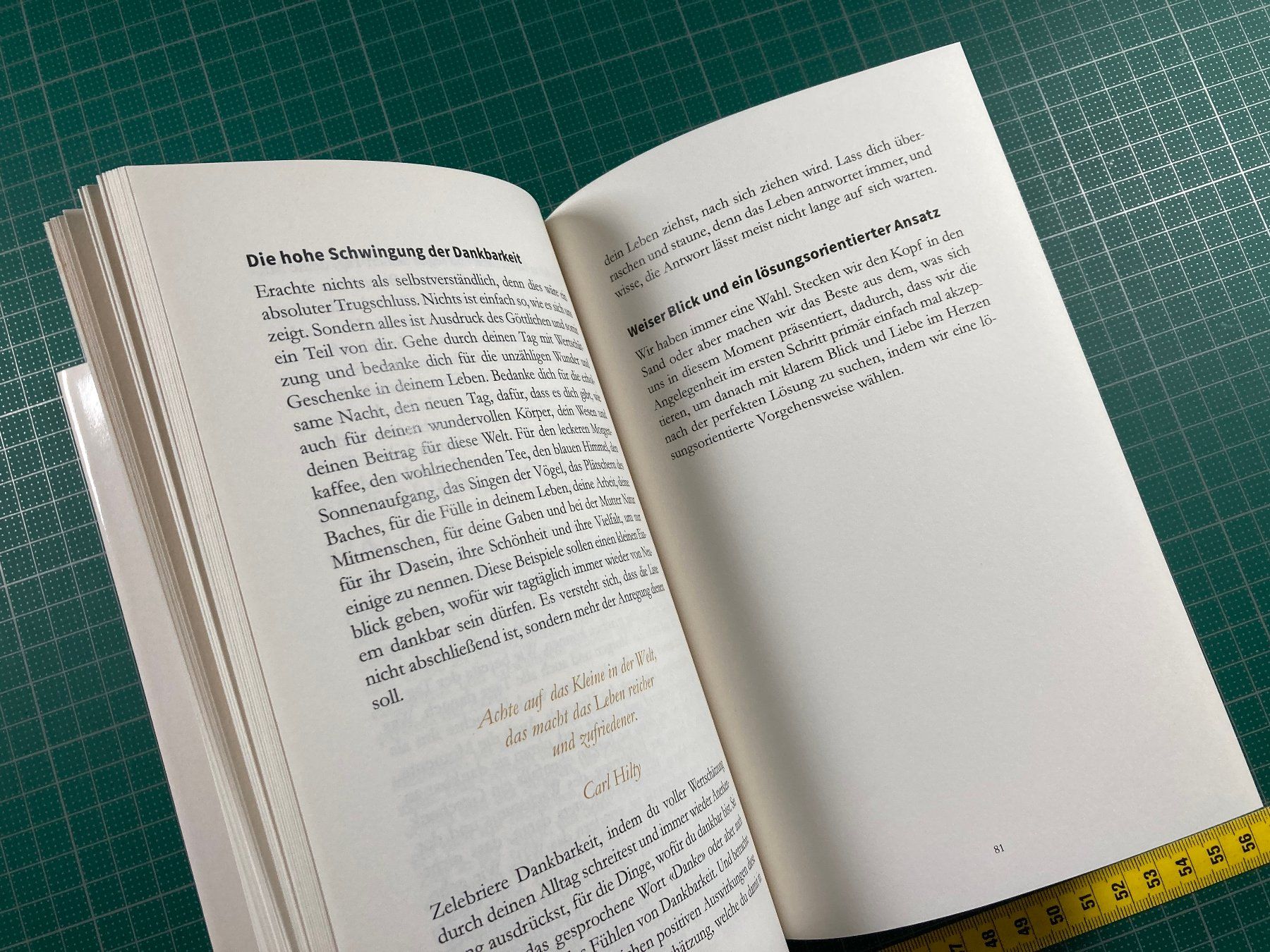 Bücher: Barbara Michaela Tanner: Lasse los, sei und werde – Gebraucht aus Lenzburg von fh1 5