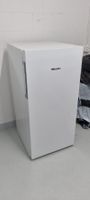 Gefrierschrank Miele FN 22263 ws
